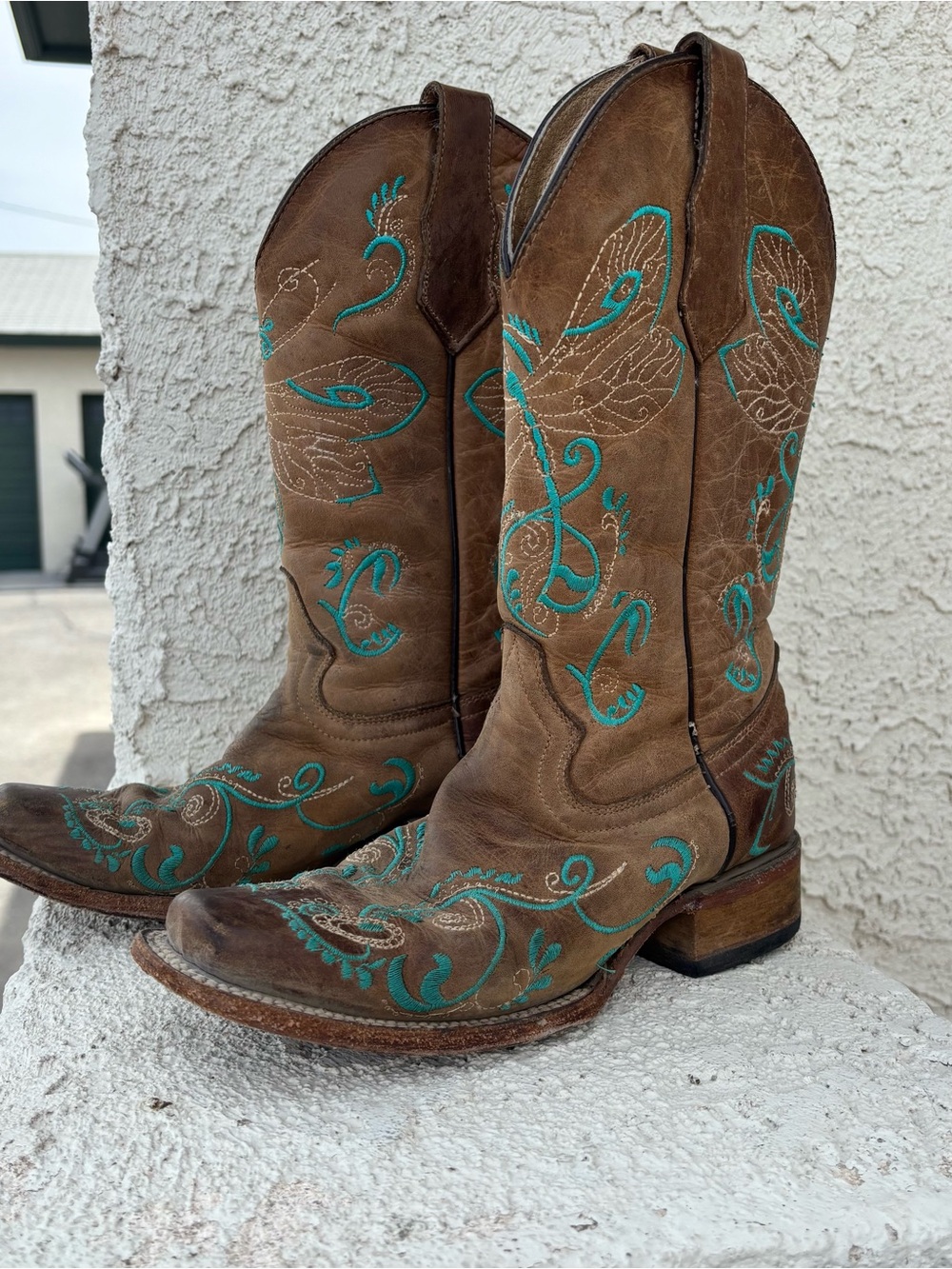 CIRCLE G Turquoise Dragonfly Embroidered Boots